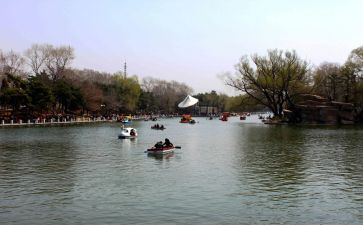 湿地公园的作文5篇