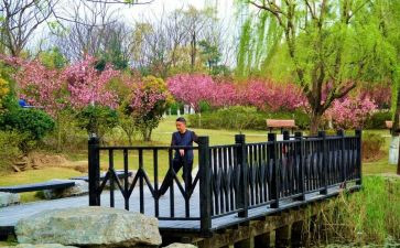 游公园作文300字7篇