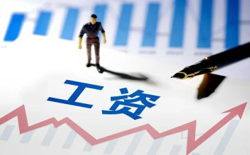 做工资工作总结6篇