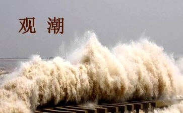 四年级观潮心得体会优秀5篇