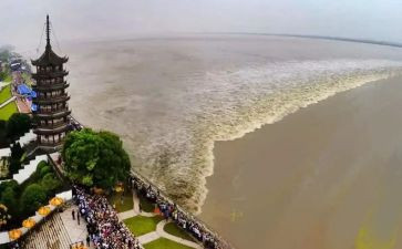 观潮读书心得体会优秀5篇