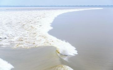 观潮读书心得体会优质5篇