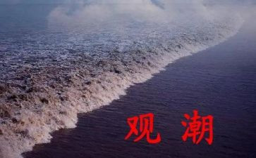 观潮听课心得体会精选8篇