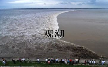 读了观潮心得体会总结模板8篇