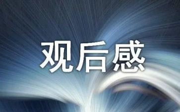 经济观后感7篇