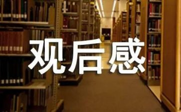 安全出行从我做起观后感5篇