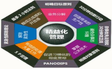 项目管理年终工作总结个人7篇