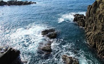 海归政府工作报告优质7篇