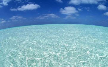 海明威老人与海读后感精选5篇