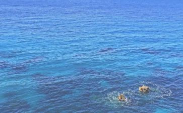 海训思想汇报精选7篇