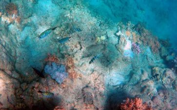 读后感海底两万里600字优质8篇