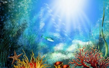 海底世界作文600字6篇