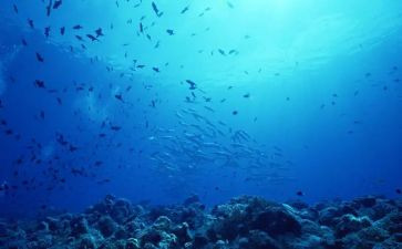 海底两万里读后感800字6篇