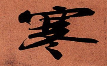 小学生寒假心得体会8篇
