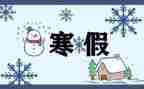 寒假安全心得体会6篇