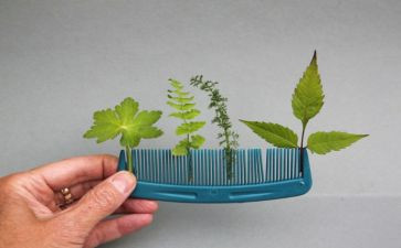 我的妈妈很优秀作文模板8篇