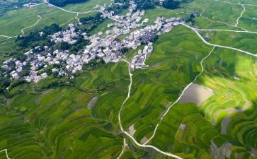 调查环境的调查报告最新8篇