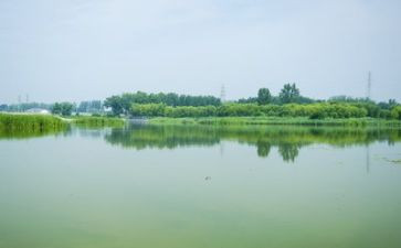 环境类年终总结8篇