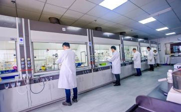 化验年工作总结通用6篇