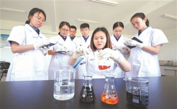 转正化验工作总结8篇