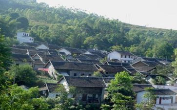 沪滇项目工作报告通用6篇