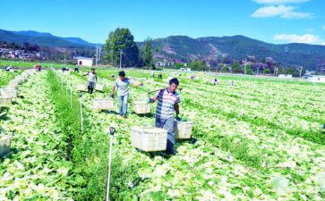 沪滇项目工作报告优秀5篇