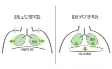 2023年呼吸内科工作计划7篇