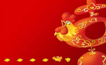 鸡年终总结8篇