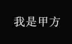 甲方代表工作总结5篇