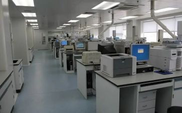 检测公司检测室工作总结8篇