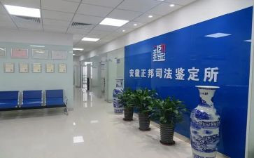 鉴定所工作总结范文最新6篇