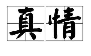 主题是真情的作文7篇