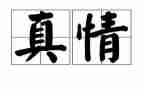 主题是真情的作文7篇