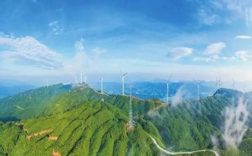 建设银行银行实习报告模板6篇