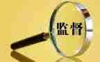 监事会年工作报告6篇