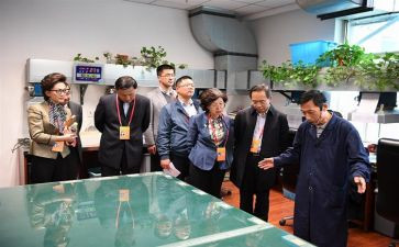 2023监委会工作总结最新7篇