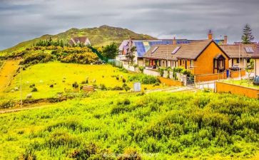 暑假见闻类作文5篇