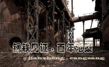 2024我的见证作文5篇