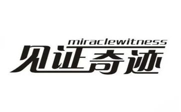 我见证过作文800字8篇