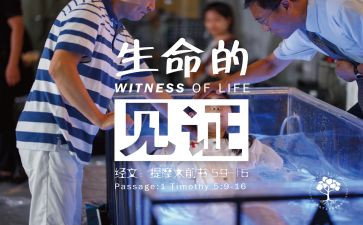 我见证过作文600字5篇