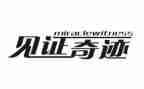 2024我的见证作文精选6篇