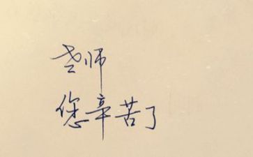教师年度工作总结简短8篇