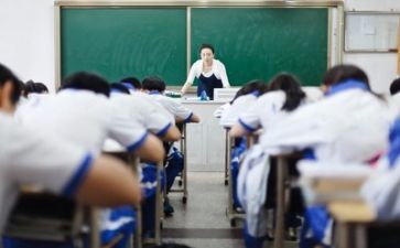 生物教师个人年度工作总结7篇