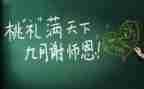 教师本年度年度总结7篇
