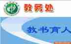 小学教务处2022年度工作总结6篇