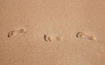 脚印话题作文8篇