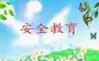 2023教育安全工作总结推荐7篇