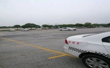 2022驾校年度总结8篇