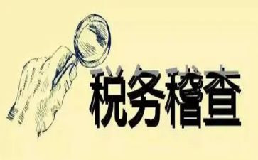 稽查工作总结范文5篇