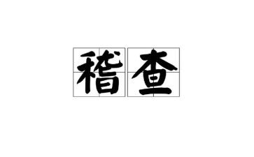 稽查股工作总结8篇